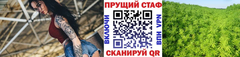 Магазины продажи наркотиков Николаевск Конопля  kraken онион  Меф  СК 