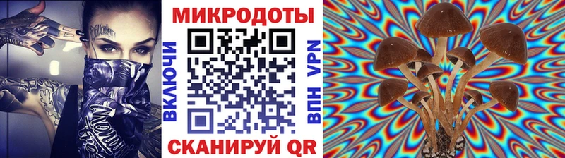 Псилоцибиновые грибы GOLDEN TEACHER  хочу наркоту  darknet формула  Николаевск  MEGA  